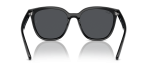 แว่นกันแดด Rayban RB4423D-601/87 Black Dark Grey Rayban RB4423D 601/87 ขาแว่นด้านใน