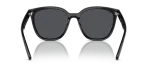 แว่นกันแดด Rayban RB4423D-601/87 Black Dark Grey Rayban RB4423D 601/87 ขาแว่นด้านใน