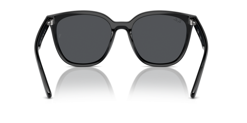 Rayban RB4423D 601/87 ขาแว่นด้านใน