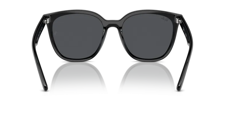 Rayban RB4423D 601/87 ขาแว่นด้านใน