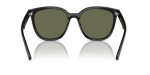 แว่นกันแดด Rayban RB4423D-601/9A Black Dark Green Polarized Rayban RB4423D 601/9A ขาแว่นด้านใน