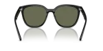 แว่นกันแดด Rayban RB4423D-601/9A Black Dark Green Polarized Rayban RB4423D 601/9A ขาแว่นด้านใน