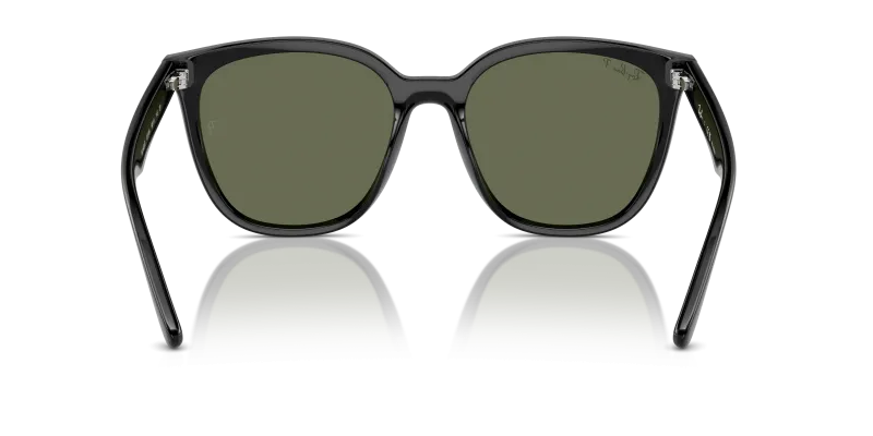 Rayban RB4423D 601/9A ขาแว่นด้านใน