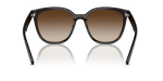 Rayban RB4423D 714/13 ขาแว่นด้านใน