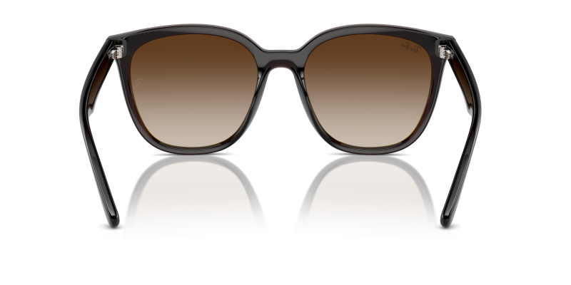 Rayban RB4423D 714/13 ขาแว่นด้านใน