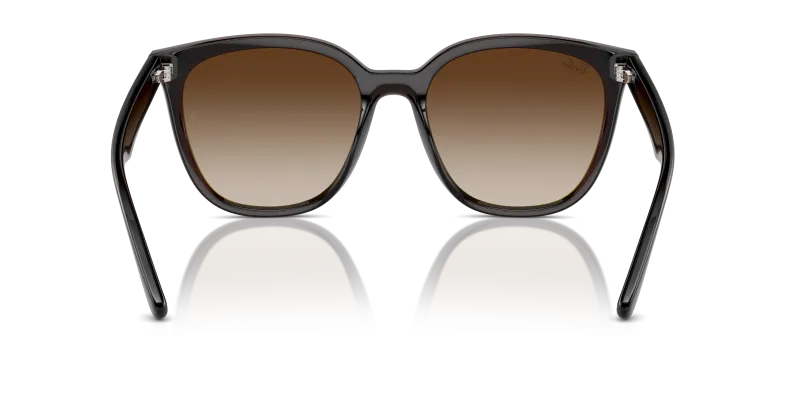 Rayban RB4423D 714/13 ขาแว่นด้านใน