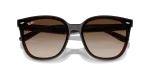 แว่นกันแดด Rayban RB4423D-714/13 Transparent Brown Gradient Brown Rayban RB4423D 714/13 close-up ด้านหน้า