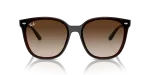 แว่นกันแดด Rayban RB4423D-714/13 Transparent Brown Gradient Brown Rayban RB4423D 714/13 ด้านหน้า