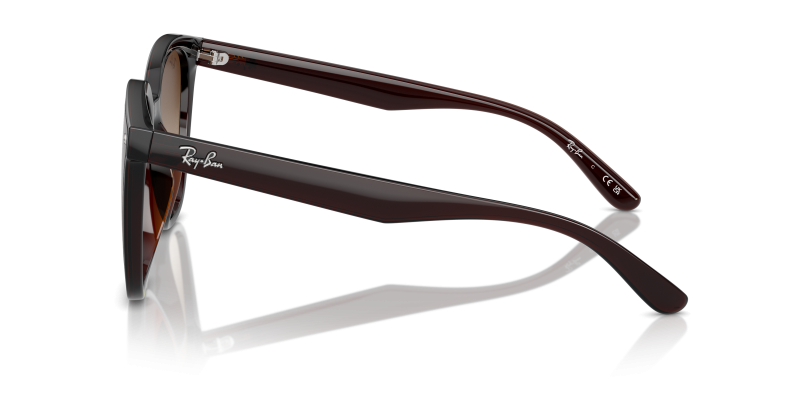 แว่นกันแดด Rayban RB4423D 714/13 มุมข้าง ขาแว่นไนลอนน้ำตาลโปร่งใส