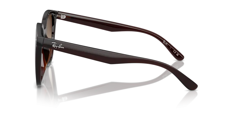 แว่นกันแดด Rayban RB4423D 714/13 มุมข้าง ขาแว่นไนลอนน้ำตาลโปร่งใส