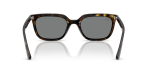 Rayban RB4439D 710/87 ขาแว่นด้านใน