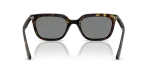Rayban RB4439D 710/87 ขาแว่นด้านใน