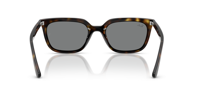 Rayban RB4439D 710/87 ขาแว่นด้านใน