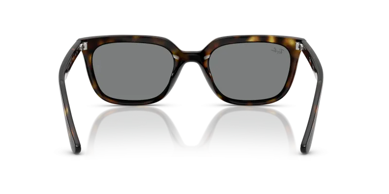 Rayban RB4439D 710/87 ขาแว่นด้านใน