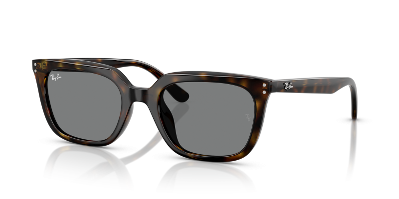 Rayban RB4439D 710/87 แว่นกันแดดHavana Dark Grey สำหรับทุกเพศ