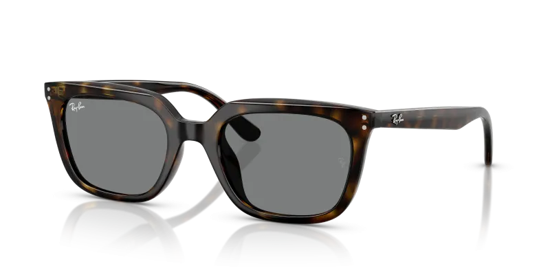 Rayban RB4439D 710/87 แว่นกันแดดHavana Dark Grey สำหรับทุกเพศ