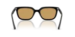 Rayban RB4439D 901/73 ขาแว่นด้านใน
