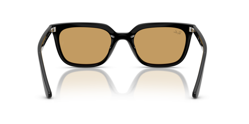 Rayban RB4439D 901/73 ขาแว่นด้านใน