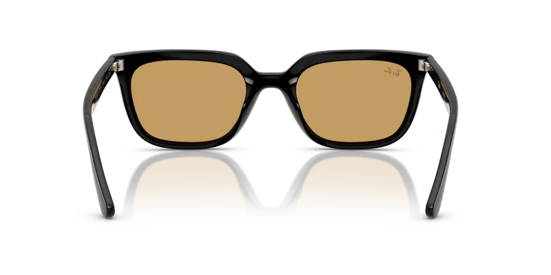 Rayban RB4439D 901/73 ขาแว่นด้านใน