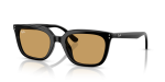 Rayban RB4439D 901/73 แว่นกันแดดBlack Ochre สำหรับทุกเพศ