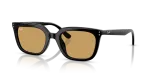 Rayban RB4439D 901/73 แว่นกันแดดBlack Ochre สำหรับทุกเพศ