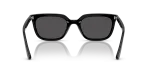 Rayban RB4439D 901/87 ขาแว่นด้านใน