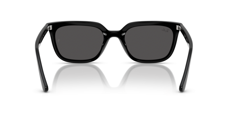 Rayban RB4439D 901/87 ขาแว่นด้านใน