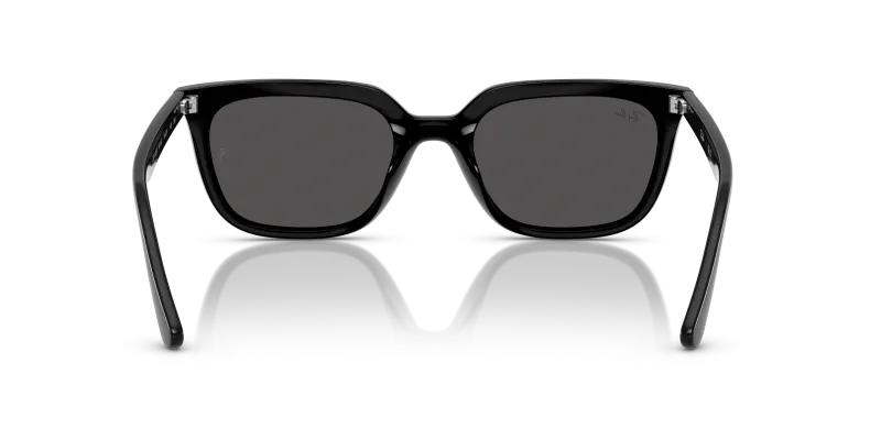 Rayban RB4439D 901/87 ขาแว่นด้านใน
