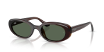 Rayban RB4441D 714/71 แว่นกันแดดสีน้ำตาลโปร่งใสเลนส์เขียวเข้ม ทั้งสองเพศ