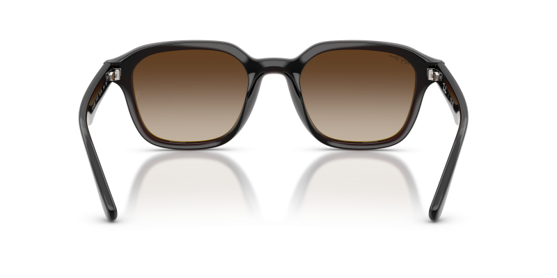 Rayban RB4458D-714/13 714/13 ขาแว่นด้านใน