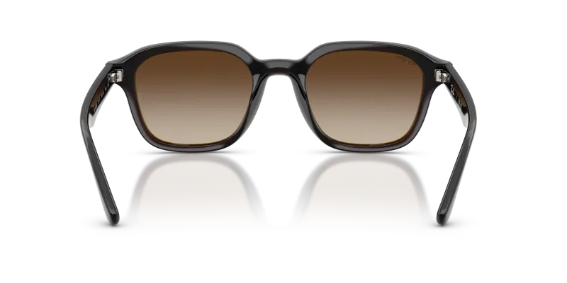 Rayban RB4458D-714/13 714/13 ขาแว่นด้านใน