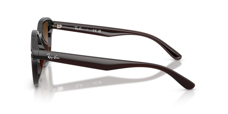 แว่นกันแดด Rayban RB4458D-714/13 714/13 มุมข้าง กรอบใสน้ำตาลเข้มทรงสี่เหลี่ยม