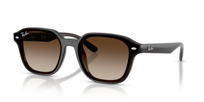 แว่นกันแดด Rayban RB4458D-714/13 Transparent Dark Brown Gradient Rayban RB4458D-714/13 714/13 แว่นกันแดดทรงสี่เหลี่ยม XL กรอบน้ำตาลเข้มโปร่งใส เลนส์ไล่ระดับ ยูนิเซ็กซ์