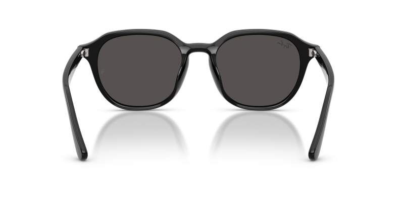 Rayban RB4459D 901/87 ขาแว่นด้านใน