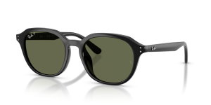 Rayban RB4459D 901/9A แว่นกันแดดโพลาไรซ์สีดำเลนส์เขียวเข้ม กรอบโพรพิโอเนตน้ำหนักเบา
