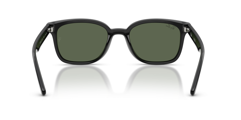 Rayban RB4461D 601/71 ขาแว่นด้านใน