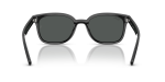 Rayban RB4461D 601/87 ขาแว่นด้านใน