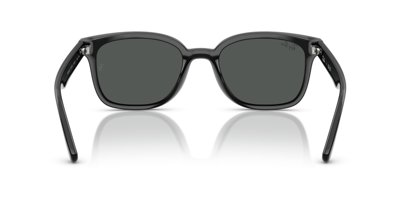 Rayban RB4461D 601/87 ขาแว่นด้านใน
