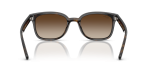 Rayban RB4461D 710/13 ขาแว่นด้านใน
