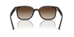 Rayban RB4461D 710/13 ขาแว่นด้านใน
