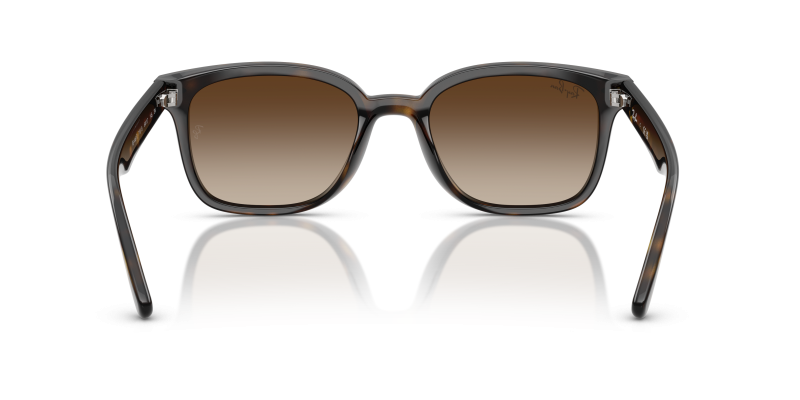 Rayban RB4461D 710/13 ขาแว่นด้านใน
