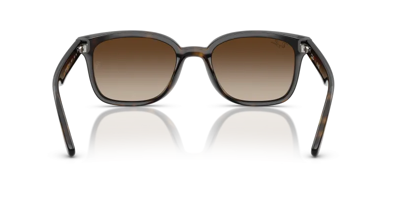 Rayban RB4461D 710/13 ขาแว่นด้านใน