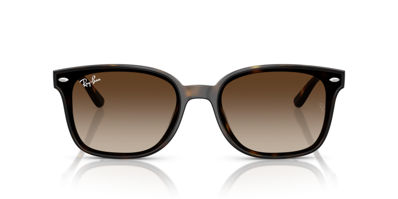 Rayban RB4461D 710/13 ด้านหน้า