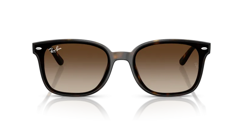 Rayban RB4461D 710/13 ด้านหน้า