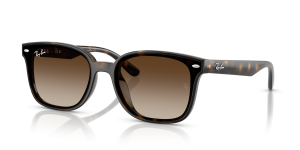 Rayban RB4461D 710/13 แว่นกันแดดHavana Gradient Brown สำหรับทุกเพศ