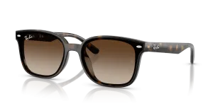 Rayban RB4461D 710/13 แว่นกันแดดHavana Gradient Brown สำหรับทุกเพศ