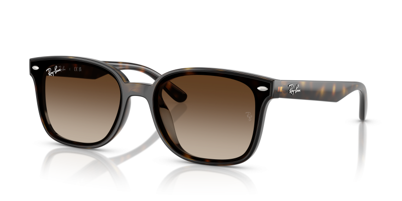 Rayban RB4461D 710/13 แว่นกันแดดHavana Gradient Brown สำหรับทุกเพศ