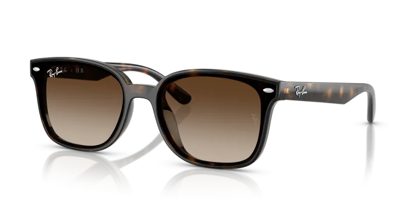 Rayban RB4461D 710/13 แว่นกันแดดHavana Gradient Brown สำหรับทุกเพศ