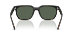 Rayban RB4466D 710/71 ขาแว่นด้านใน