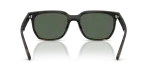 Rayban RB4466D 710/71 ขาแว่นด้านใน
